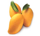 thai fruit : mango