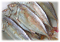 สูตรอาหารไทย : ยำปลาทู