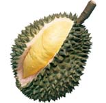 King of Fruit : Durian
