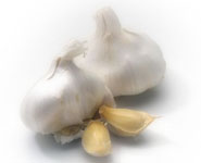 กระเทียมสด (garlic)