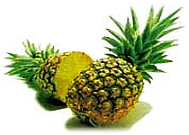 สัปปะรด (pineapple)