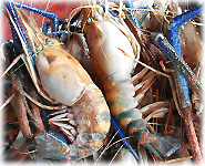  สูตรอาหารไทย : กุ้งทอดราดซ๊อสขิง
