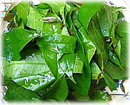  สูตรอาหารไทย : หมูชะมวง