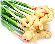  สูตรอาหารไทย : กุ้งผัดขิงอ่อน
